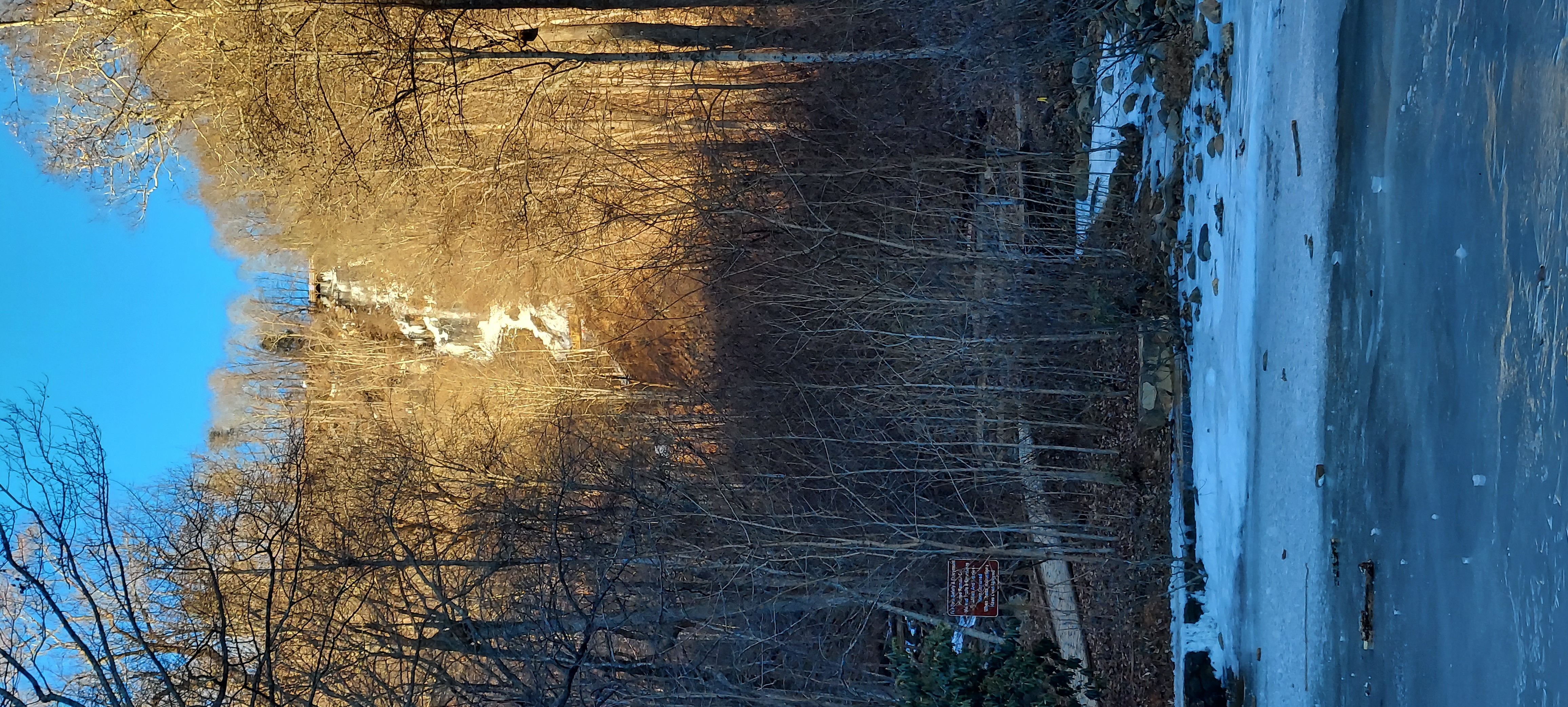Amicalola Falls in the Winter